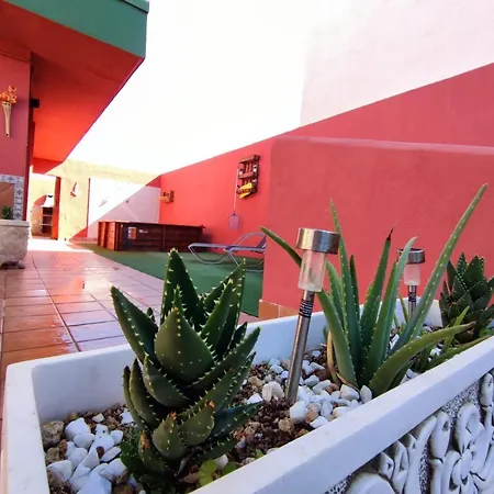 Casa Cielito Lindo 펜션