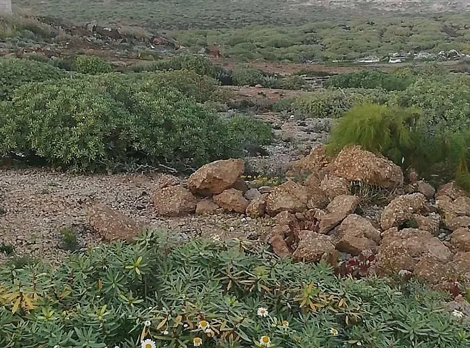 Casa Cielito Lindo Las Eras (Tenerife)